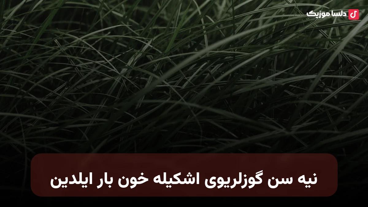 ترکی نیه سن گوزلریوی اشکیله خون بار ایلدین بهنام قلی زاده یورقون